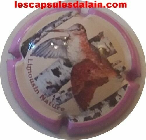 BELLE CAPSULE CHAMPAGNE MOUTARDIER PHILIPPE REF N°67 NEWS