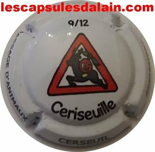 BELLE CAPSULE CHAMPAGNE MATHELIN RÉF N°41h NEWS
