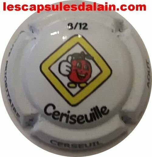 BELLE CAPSULE CHAMPAGNE MATHELIN RÉF N°41g NEWS