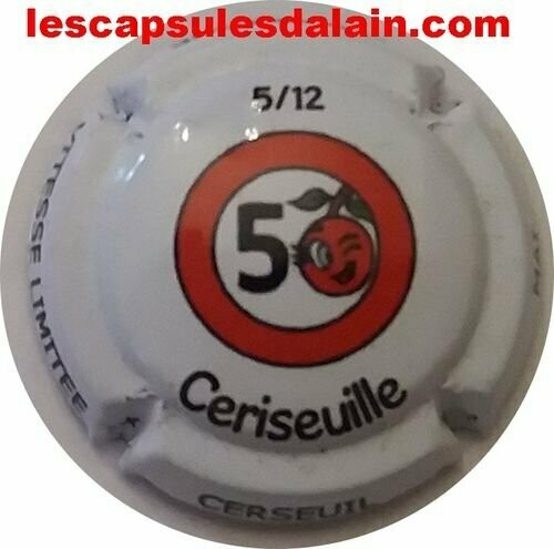 BELLE CAPSULE CHAMPAGNE MATHELIN RÉF N°41d NEWS