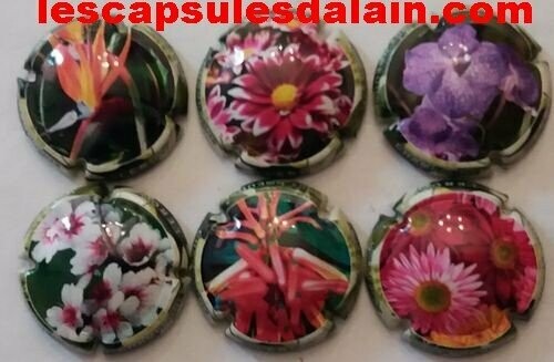 6 BELLES CAPSULES CHAMPAGNE LEROY LES FLEURS REF N°4 a 4e NEWS