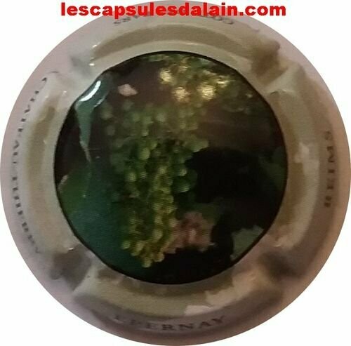 CAPSULE CHAMPAGNE COTE DES BARS CO.GE.VI RÉF N°13