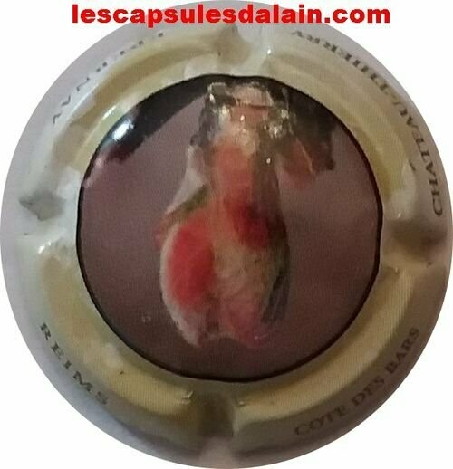 CAPSULE CHAMPAGNE COTE DES BARS CO.GE.VI RÉF N°14