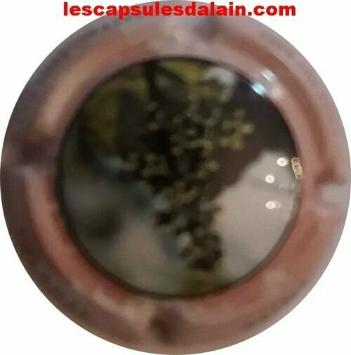 CAPSULE CHAMPAGNE COTE DES BARS CO.GE.VI RÉF N°17