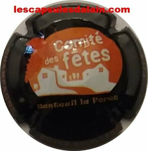 BELLE CAPSULE CHAMPAGNE BOYER ROUILLERE ET FILS COMITE DES FETES NANTEUIL LA FORET NEWS REF N°8