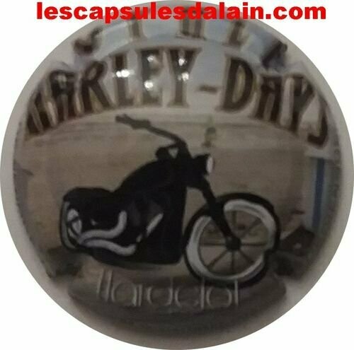 BELLE CAPSULE CHAMPAGNE DE VENOGE HARLEY DAYS REF N°321 NEWS