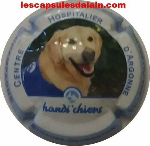 BELLE CAPSULE CHAMPAGNE STRAUSS GEORGETON ANDI'CHIENS REF N°33 NEWS