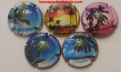 5 BELLES CAPSULES CHAMPAGNE PAUL SADI COCOTIER REF N°12 a 12d NEWS
