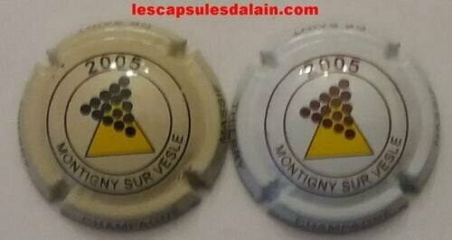 2 BELLES CAPSULES CHAMPAGNE MASSIF DE SAINT THIERRY  2005 RÉF N°6b et 6ba