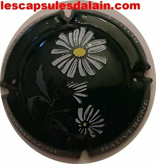 BELLE CAPSULE CHAMPAGNE BARON DAUVERGNE RÉF N°A0 SANS N° TEL NEWS