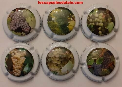 6 BELLES CAPSULES CHAMPAGNE GENERIQUE REF N°847 a 847e NEWS