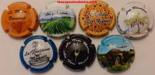 7 BELLES CAPSULES CHAMPAGNE PINEL ET FILS N°1 a 7 NEWS