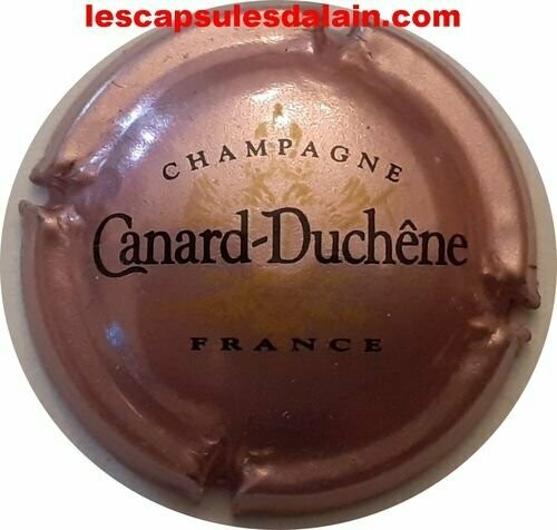 CAPSULE CHAMPAGNE CANARD DUCHENE RÉF N°75e