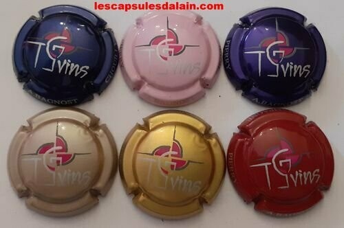 6 BELLES CAPSULES CHAMPAGNE BAGNOST A. N°13f A 13k NEWS
