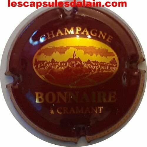 BELLE CAPSULE CHAMPAGNE BONNAIRE RÉF N°10 NEWS