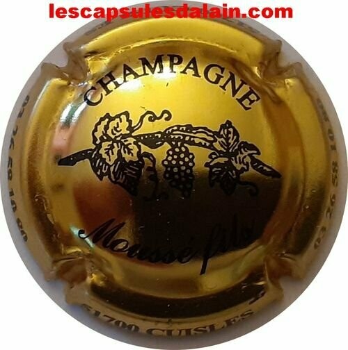 CAPSULE CHAMPAGNE MOUSSE FILS RÉF N°5