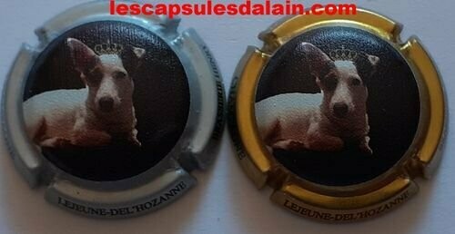 2 BELLES CAPSULES CHAMPAGNE LEJEUNE DEL'HOZANNE CHIEN NEWS