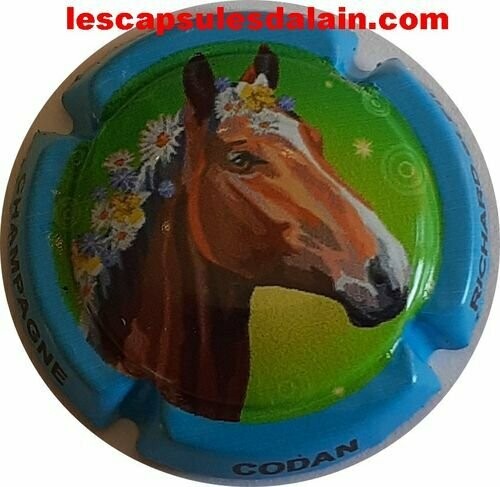 JEROBOAM CHAMPAGNE CODAN RICHARD CHEVAL REF N°20 NEWS