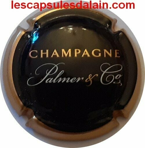 CAPSULE CHAMPAGNE PALMER RÉF N°16
