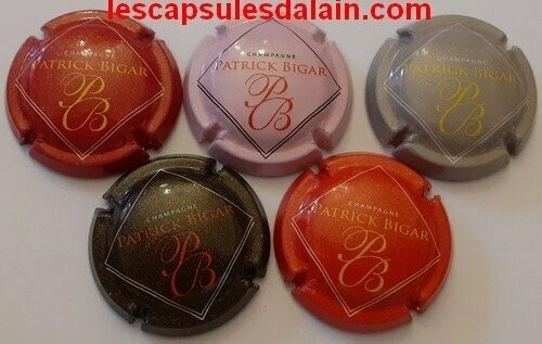 5 BELLES CAPSULES CHAMPAGNE PATRICK BIGAR LOGO REF N° 5 a 5d NEWS