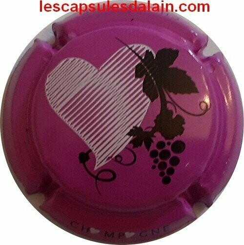 CAPSULE CHAMPAGNE GENERIQUE REF N°896c NEWS