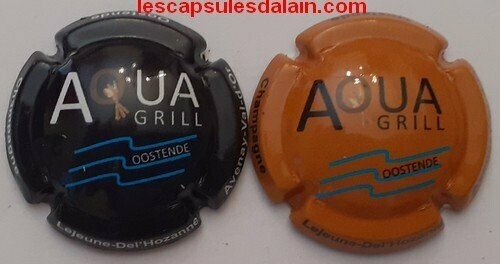 2 BELLES CAPSULES CHAMPAGNE LEJEUNE DEL'HOZANNE AQUA GRILL 2020 REF N° 59 et 59a NEWS