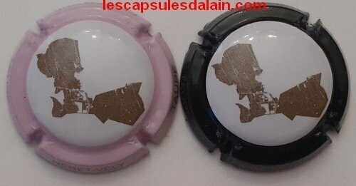 2 BELLES CAPSULES CHAMPAGNE PESSENET DIDIER REF N°37e et 37f NEWS