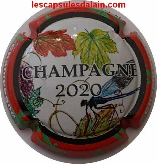 JEROBOAM CHAMPAGNE GENERIQUE PUZZLE 2020 REF N°979w  NEWS
