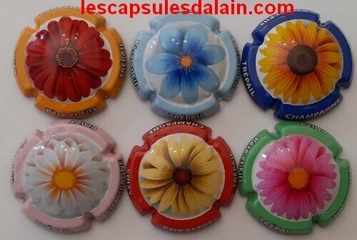 6 BELLES CAPSULES CHAMPAGNE COIZY PERE et FILS FLEURS 2020 REF N°15 a 15e NEWS