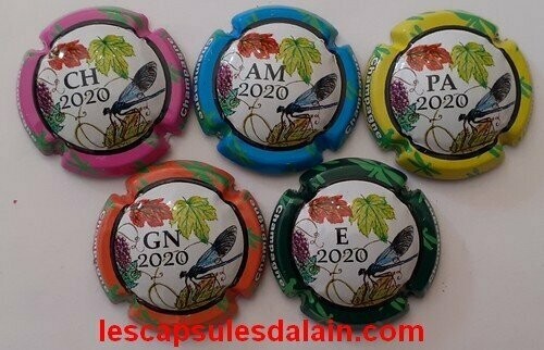 5 BELLES CAPSULES CHAMPAGNE GENERIQUE PUZZLE 2020 REF N° 979r a 979v NEWS