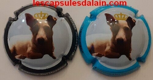 2 BELLES CAPSULES CHAMPAGNE LEJEUNE DEL'HOZANN REF N°58b et 58c CHIEN NEWS