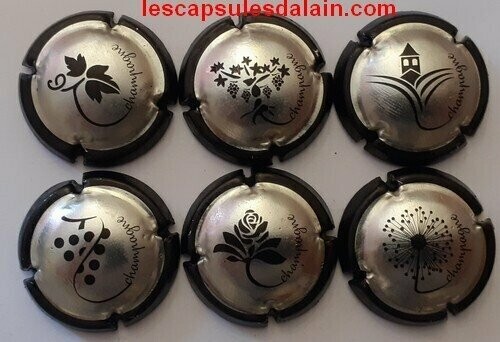6 BELLES CAPSULES CHAMPAGNE GENERIQUE ARGENT REF N°1038 a 1043 NEWS