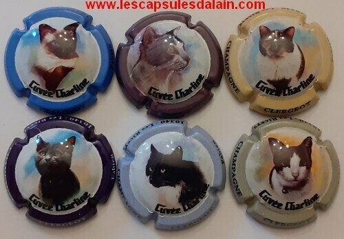 6 BELLES CAPSULES CHAMPAGNE CLERGEOT FABIEN LES CHATS 2020 REF N° 6 a 6e  NEWS