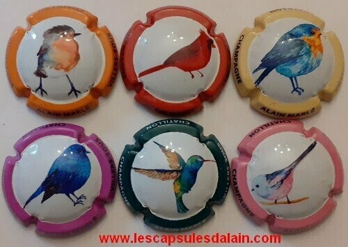 6 BELLES CAPSULES CHAMPAGNE MARLE ALAIN OISEAUX 2020 REF N° 15 a 15e NEWS
