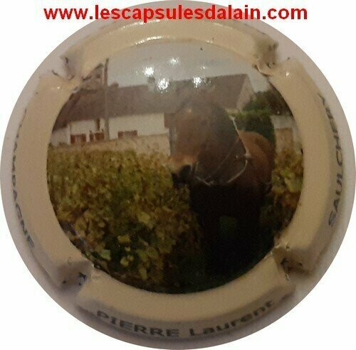 BELLE CAPSULE CHAMPAGNE PIERRE LAURENT CHEVAL REF N°4d NEWS