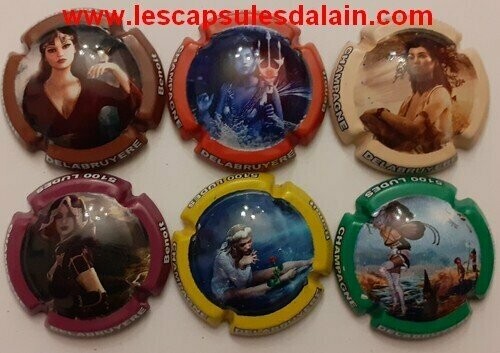 6 BELLES CAPSULES CHAMPAGNE DELABRUYERE BENOIT LES FEES REF N° 22 a 22e NEWS