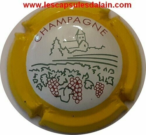 CAPSULE CHAMPAGNE GENERIQUE REF N°734 NEWS