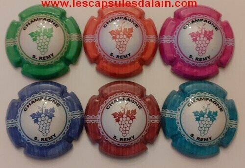 6 BELLES CAPSULES CHAMPAGNE REMY STEPHANE GRAPPE DE RAISIN 2021 REF N°15 a 15e NEWS