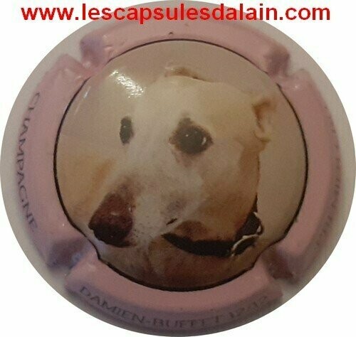 BELLE CAPSULE CHAMPAGNE DAMIEN BUFFET CHIEN REF N°4k NEWS