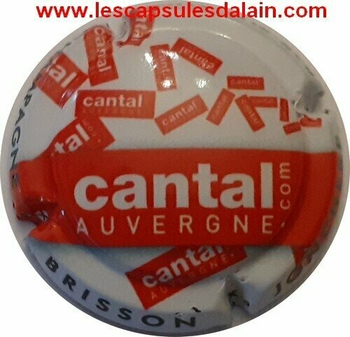 BELLE CAPSULE CHAMPAGNE BRISSON JONCHERE CANTAL REF N°49 NEWS
