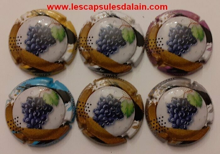 6 BELLES CAPSULES CHAMPAGNE COIZY NICOLAS GRAPPE 2021 REF N° 2 a 2e NEWS