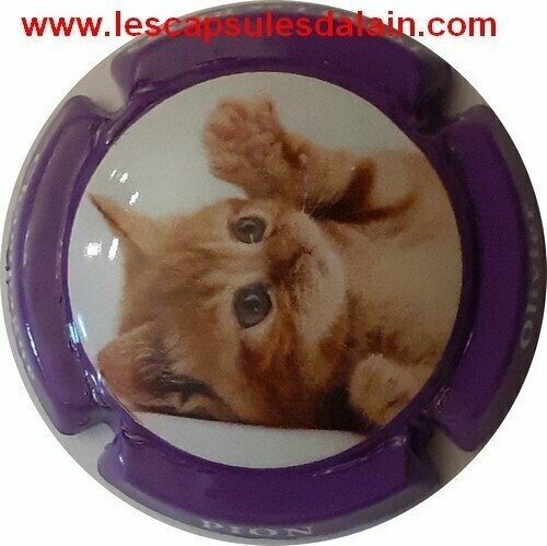 JEROBOAM CHAMPAGNE PION OLIVIER LE CHAT 2021 REF N°9 NEWS