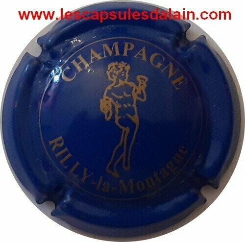 CAPSULE CHAMPAGNE RILLY LA MONTAGNE REF N°22b