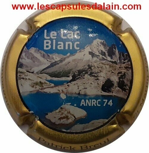 BELLE CAPSULE CHAMPAGNE BREUL PATRICK ANRC 2013 LAC BLANC REF N°20c NEWS