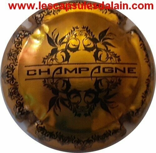 BELLE CAPSULE QUART CHAMPAGNE GENERIQUE BLASON METALISEE 2021 REF N°1193f NEWS