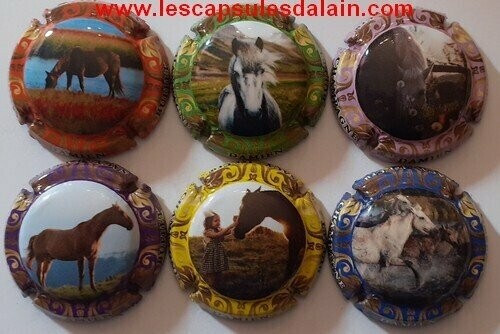 6 BELLES CAPSULES CHAMPAGNE DAMIEN BUFFET HORSE 2021 REF N° 17 a 17e NEWS