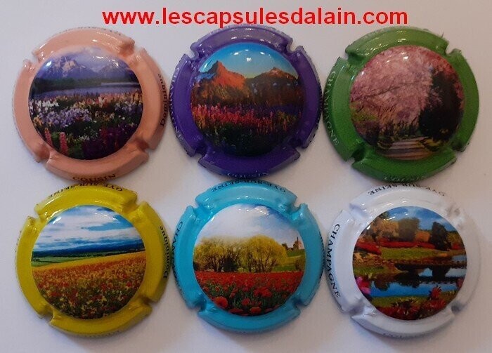 6 BELLES CAPSULES CHAMPAGNE COUSIN DOMINIQUE PAYSAGE 2021 REF N°12 a 12e NEWS