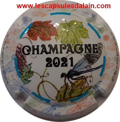 JEROBOAM CHAMPAGNE GENERIQUE PUZZLE LIBELLULE 2021 REF N° 1197e NEWS