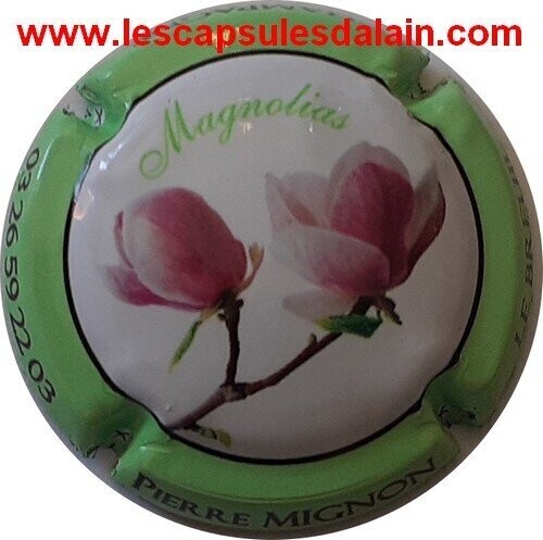 BELLE CAPSULE CHAMPAGNE PIERRE MIGNON MAGNOLIAS REF N°161 NEWS