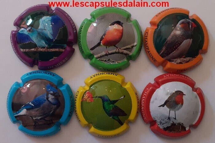 6 BELLES CAPSULES CHAMPAGNE DEMIERE PATRICK LES OISEAUX REF N° 13 a 13e NEWS